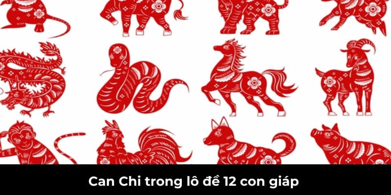 Phương pháp tính 12 con giáp trong lô đề chính xác nhất