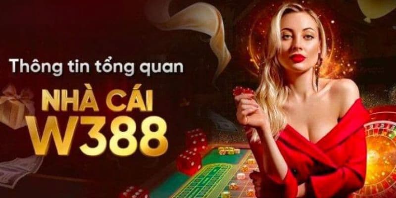 Giới thiệu W388 tổng quan 