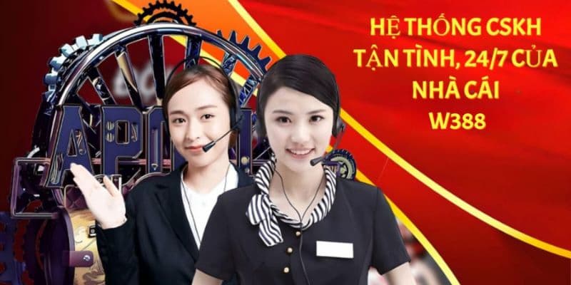 Tại sao bạn nên liên hệ W388?